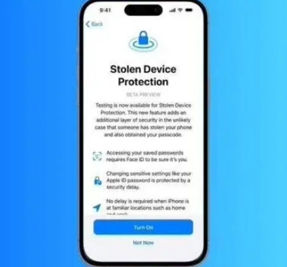 永发镇苹果授权维修店分享被盗设备保护功能开启方法 
