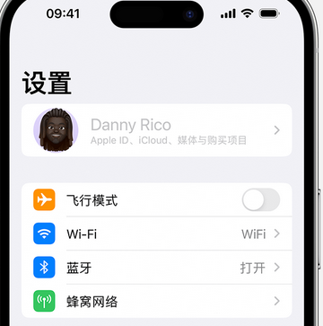 永发镇appleID维修服务iPhone设置中Apple ID显示为灰色无法使用 