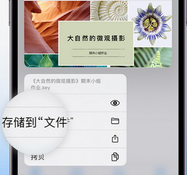 永发镇apple维修中心分享iPhone文件应用中存储和找到下载文件