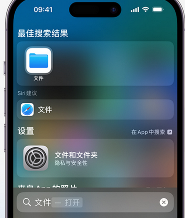 永发镇apple维修中心分享iPhone文件应用中存储和找到下载文件