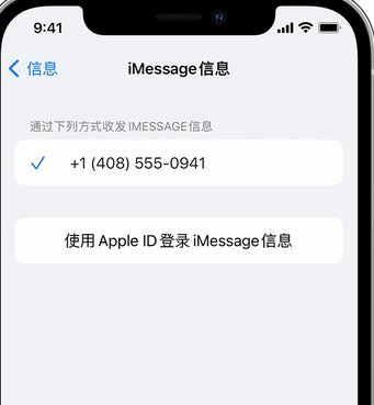 永发镇apple维修iPhone上无法正常发送iMessage信息 