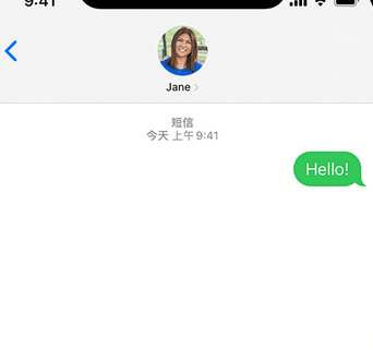 永发镇apple维修iPhone上无法正常发送iMessage信息