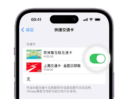 永发镇apple维修点分享iPhone上更换Apple Pay快捷交通卡手绘卡面 