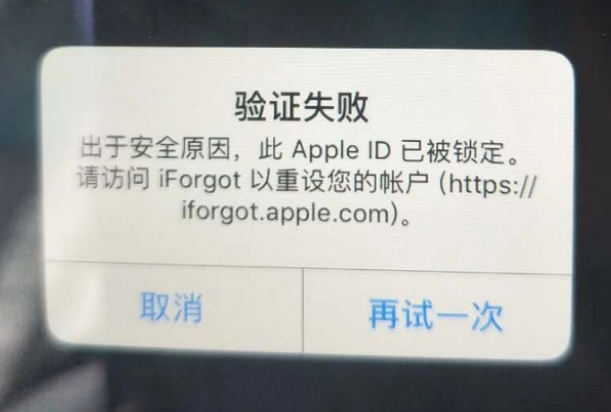 永发镇iPhone维修分享iPhone上正常登录或使用AppleID怎么办 