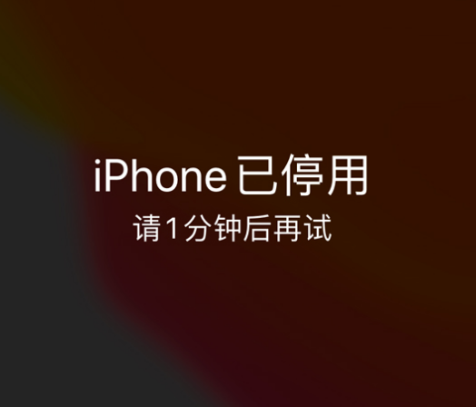 永发镇苹果手机维修分享:iPhone 显示“不可用”或“已停用”怎么办？还能保留数据吗？ 