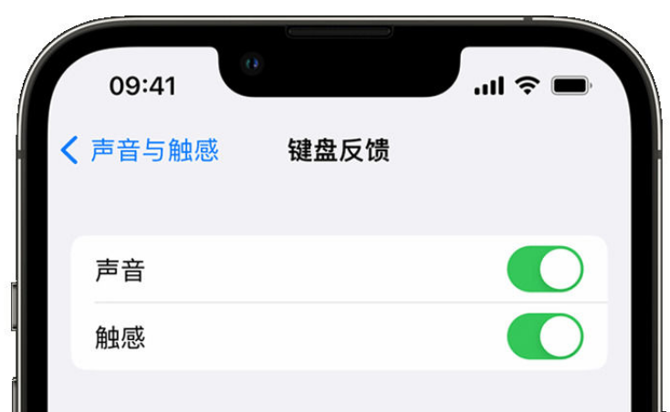 永发镇苹果手机维修分享iPhone 14触感键盘使用方法 