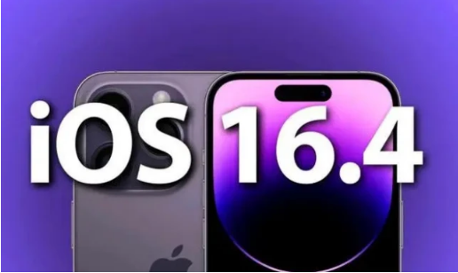 永发镇苹果14维修分享：iPhone14可以升级iOS16.4beta2吗？ 