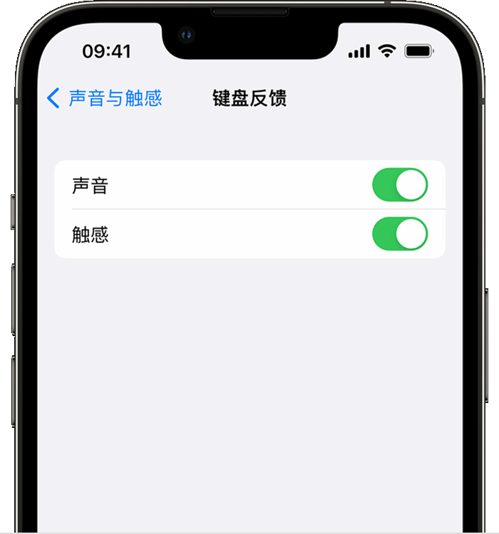 永发镇苹果14维修店分享如何在 iPhone 14 机型中使用触感键盘 