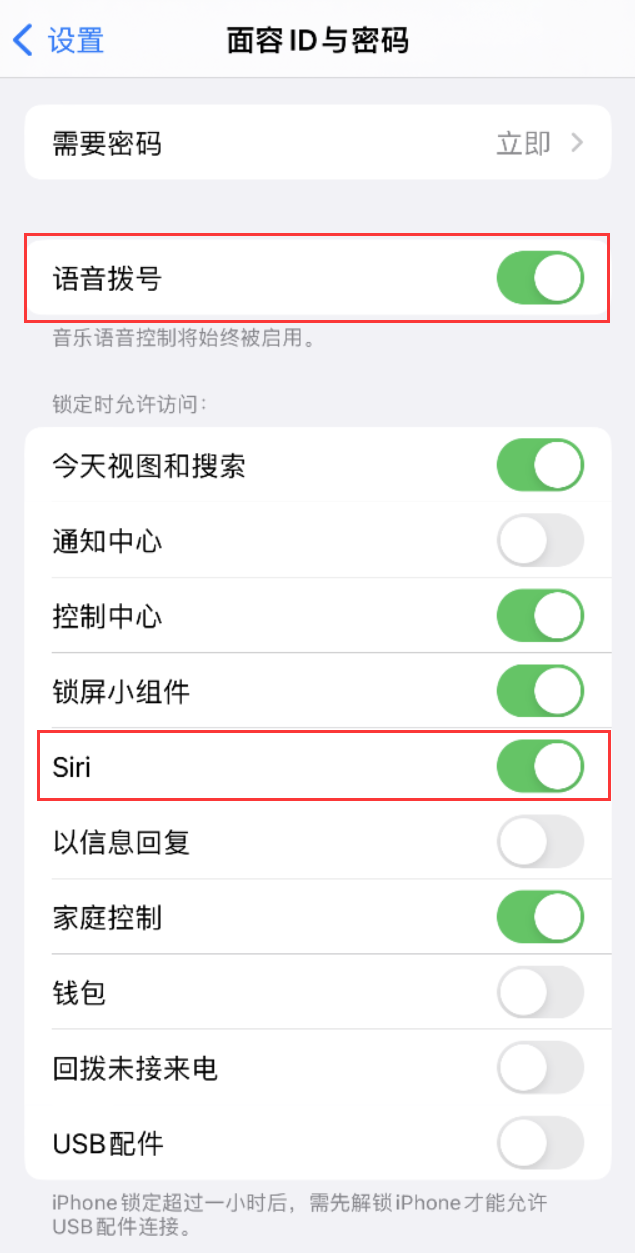 永发镇苹果维修网点分享不解锁 iPhone 的情况下通过 Siri 拨打电话的方法 