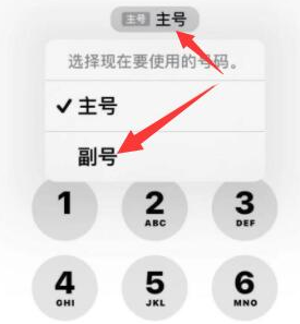 永发镇苹果14维修店分享iPhone 14 Pro Max使用副卡打电话的方法 