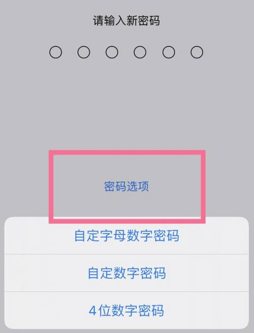 永发镇苹果14维修分享iPhone 14plus设置密码的方法 