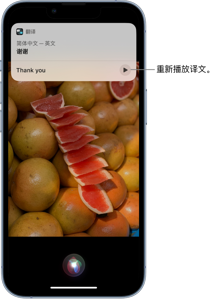 永发镇苹果14维修分享 iPhone 14 机型中使用 Siri：了解 Siri 能帮你做什么 