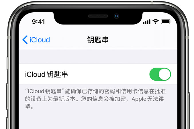 永发镇苹果手机维修分享在 iPhone 上开启 iCloud 钥匙串之后会储存哪些信息 