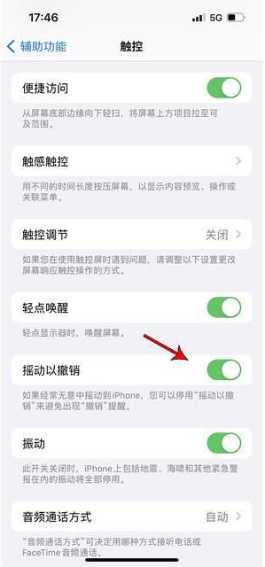 永发镇苹果手机维修分享iPhone手机如何设置摇一摇删除文字 