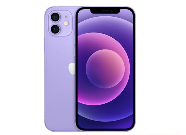 永发镇苹果手机维修分享现阶段要不要入手紫色版iPhone12 