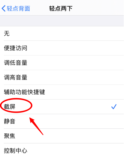 永发镇苹果手机维修分享iPhone12如何启用双击截屏 